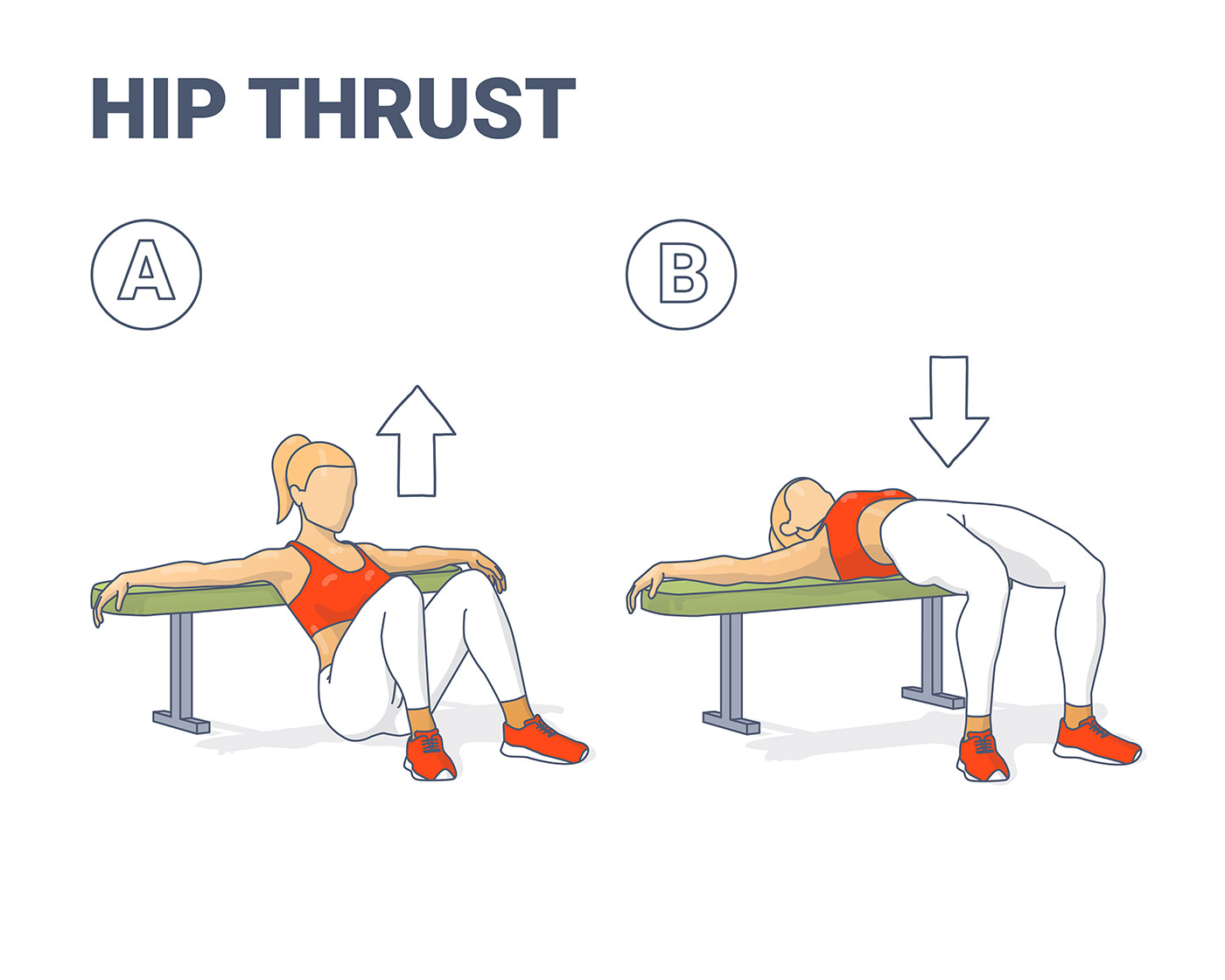 Core Training -- Hip Thrust