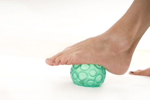 Introbild Die Anatomie des Fußes